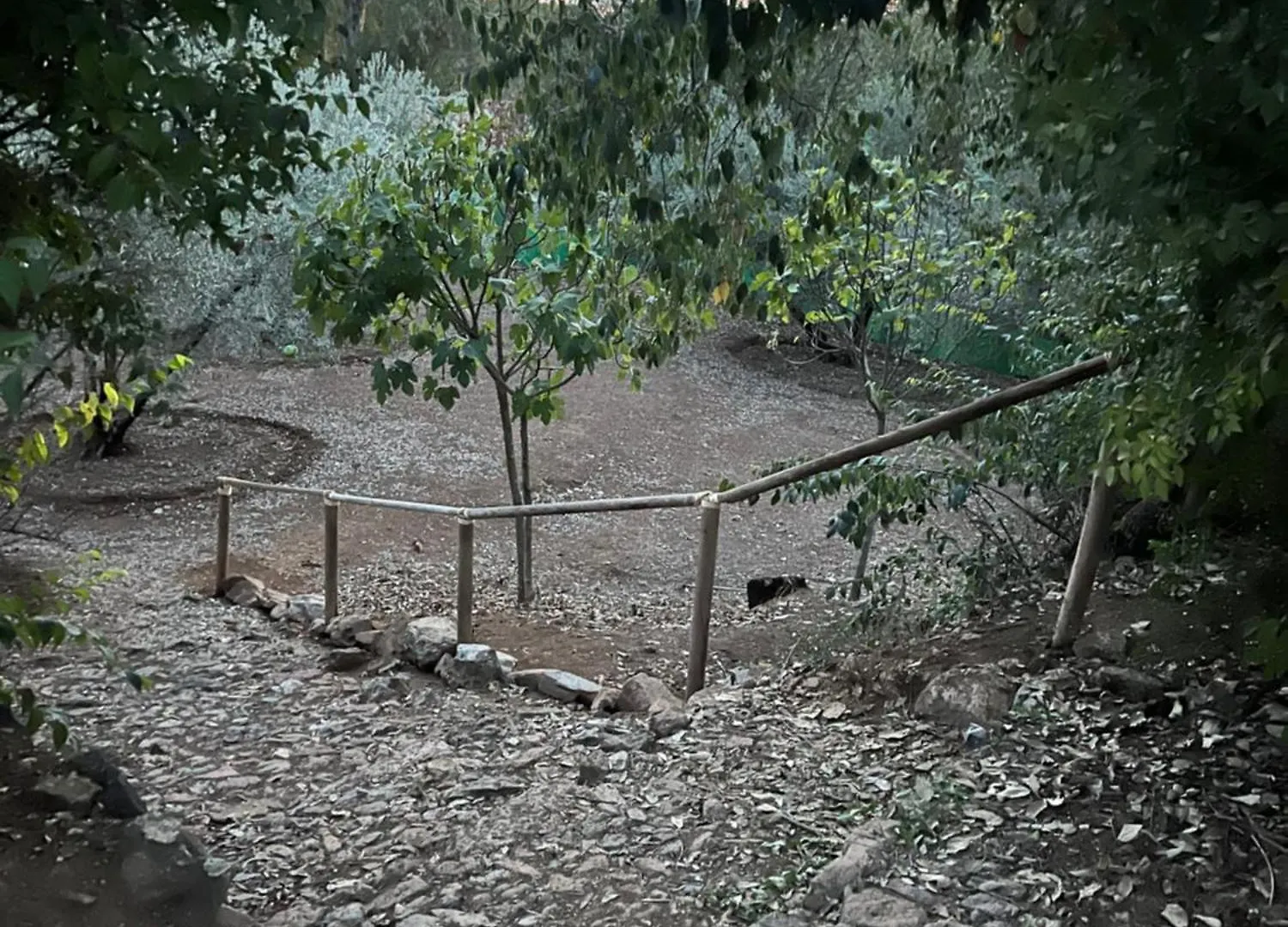 Prázdninový dům Vila La Casita De Campo Córdoba Španělsko